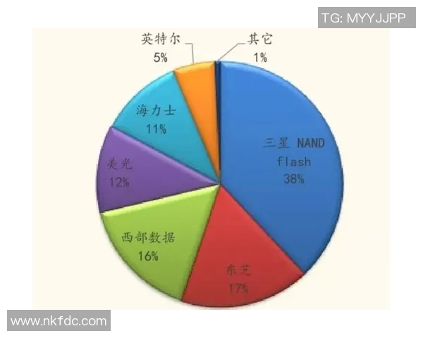 南京排球队技术对比深度解析与发展趋势展望